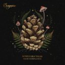 Den Macklin - Satpura