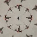 David Granha - Bastille