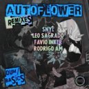 Autoflower - Basics