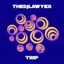 TheDJLawyer - Trip
