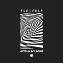 FLEXFELP - Acid In My Mind