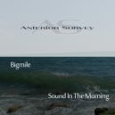 Bigmile - Sound In The Morning