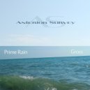 Prime Rain - Gross