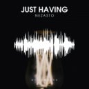 Nezasto - Just Having