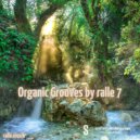ralle.musik - Organic Grooves by ralle 7