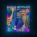 Avangart Tabldot - Way Back Home