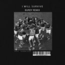 Gloria Gaynor - I Will Survive (Burdy Remix)