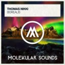 Thomas Nikki - Borealis (Extended Mix)