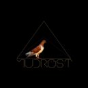 Mudrost - Brown Feathered Bird