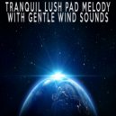 Relaxing Music Soundscapes - Tranquil Lush Pad Melody With Gentle Wind Sounds
