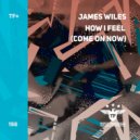 James Wiles - How I Feel (Come On Now)