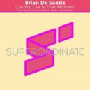 Brian De Santis - Can Youn Live In That Moment