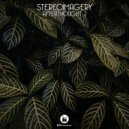 Stereoimagery - Leaving