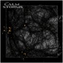The Calm Storms - Dark Matter ()