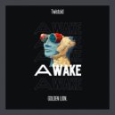 Twistoid - Awake