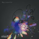 Roy - Chaoss II (Original Mix)