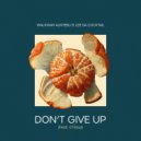Walkman Alkhebu & Lee Da Cocktail feat. CTSoul - Don't Give Up