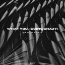 Dan Ojeda - What You... (Going Crazy)
