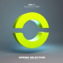 The Brainkiller - Supersonic ()