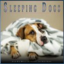 Dog Music & Calming Music For Dogs & Dog Music Experience - Sleeping Dogs
