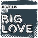 Birdee featuring Angela Johnson - Something About You (Accapella)