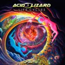 Acid Lizard & Spiritual Mind - Critical Phases