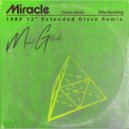 Calvin Harris Ft. Ellie Goulding - Miracle