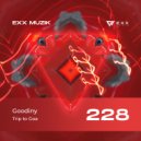 Goodiny - Trip to Goa (Radio Edit)
