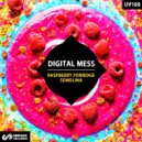 Digital Mess - Raspberry Porridge