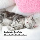 Lofi for Coding & The Cat Relaxer & Music for Cats TA - Crisp Mornings