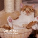 Lofi Playlist & Reiki for Animals & Calm Music for Cats - Midnight in Paris