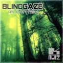 BlindGaze - Flame