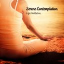 Lofiwaala & Splendor of Meditation for Smoking Cessation & Relax Meditation Sleep - Nightfall