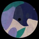 Later Version - Swim Domain