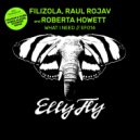 Filizola, Raul Rojav, Roberta Howett - What I Need (Dub Mix)