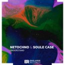 Netochno, Soule Case - Understand (Original Mix)