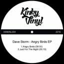 Dave Storm - Angry Birds (Original Mix)