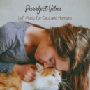 Lofis & Music for Cats TA & Cat Songs - Night Memories