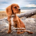 Lofiwaala & Dog Music Collective & Calming for Dogs - Banquet Sky ()