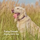 Beats De Rap & Dog Bedtime & Sleepy Moon - Acoustic Daydreams ()