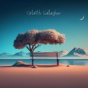 Orlaith Gallagher - Serene Silent Sunset