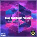 Blaq Owl - Dimensions