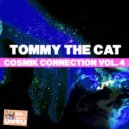 Tommy The Cat - Reminiscing (Original Mix)