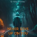 Qi Gong Journey - Never Give Up On You