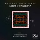 Polyrhyth,Tabia - Ndim Kwakhona (Native P. Remix)