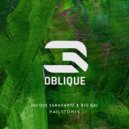 Jacque Saravanté, Big Gal, System Escape - Hailstones (Original Mix)