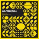 Wilfred (COL) - Dropping on Night