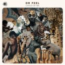 Dr Feel - Anhuru