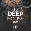 ppdee - Immersion (Original Mix)