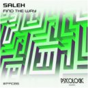 Saleh (BR) - We Get Low
